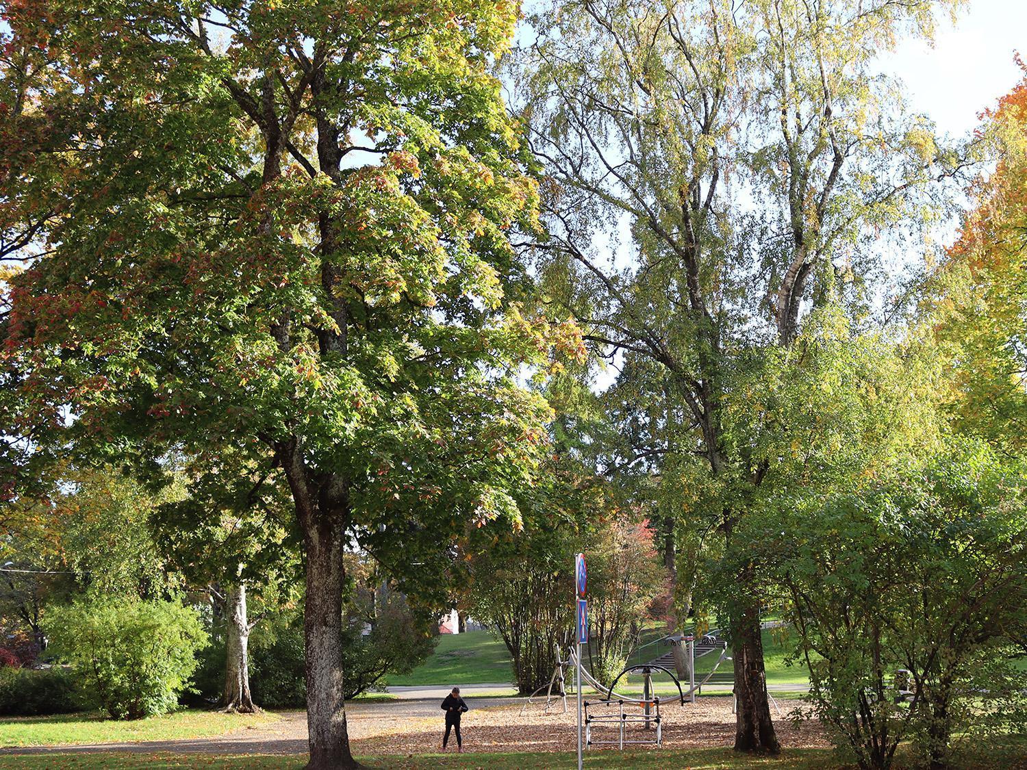Hostel Louna Pärnu Exterior foto